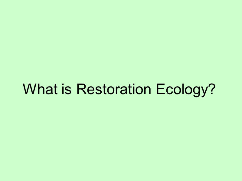 米国ワシントン州restoration ecology事情.ppt_第1页