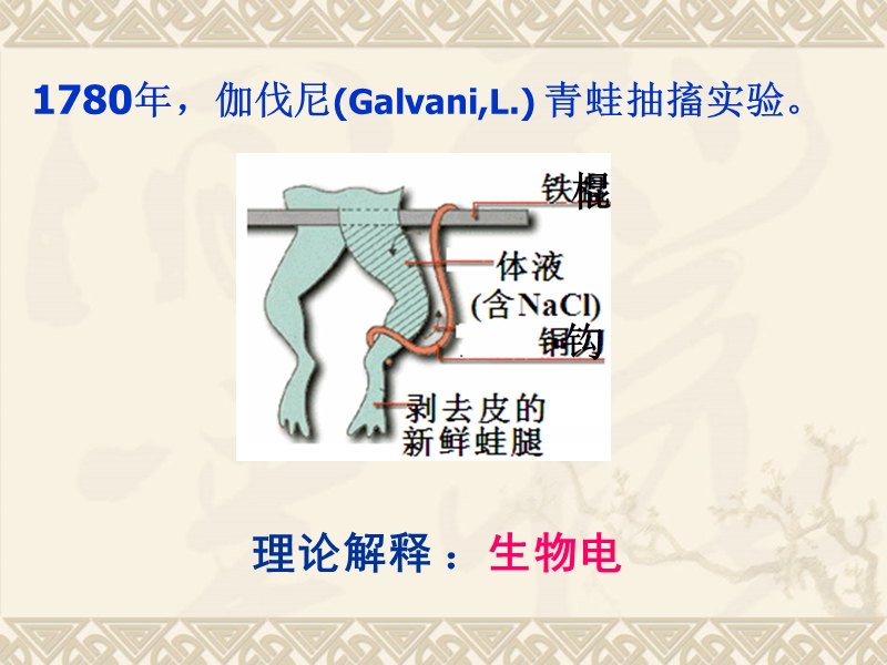 临高中学化学组林芳（帐号89351）.ppt_第2页