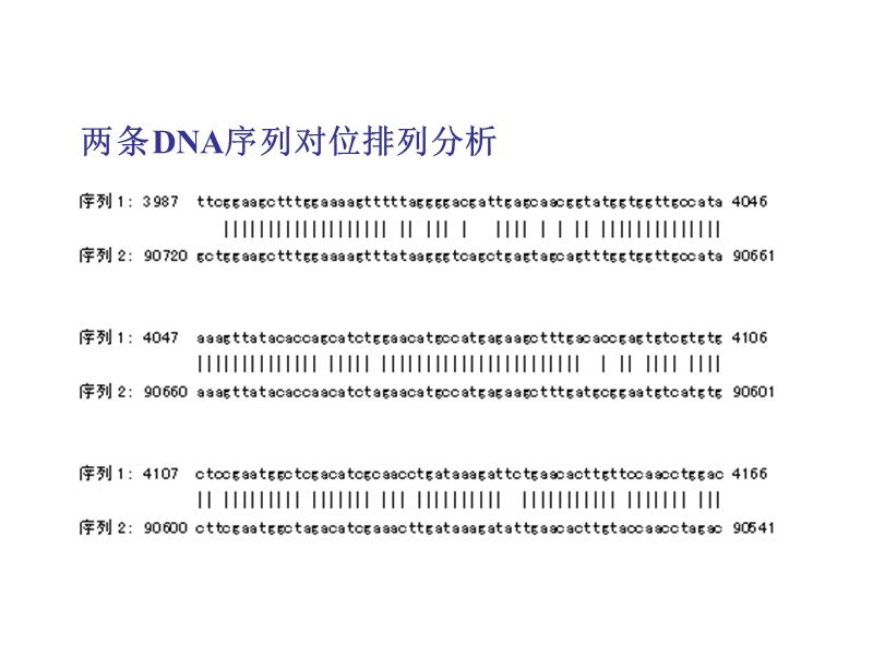 生物信息学04第四章 核酸和蛋白质序列为基础的数据库检索..ppt_第3页