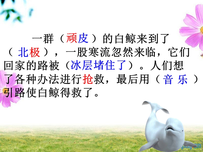 41.白鲸得救了修改.ppt_第3页