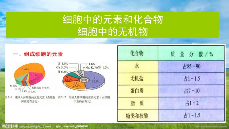 自主学习能力测评高三生物一轮复习细胞中的元素和化合物  细胞中的无机物.ppt_第1页