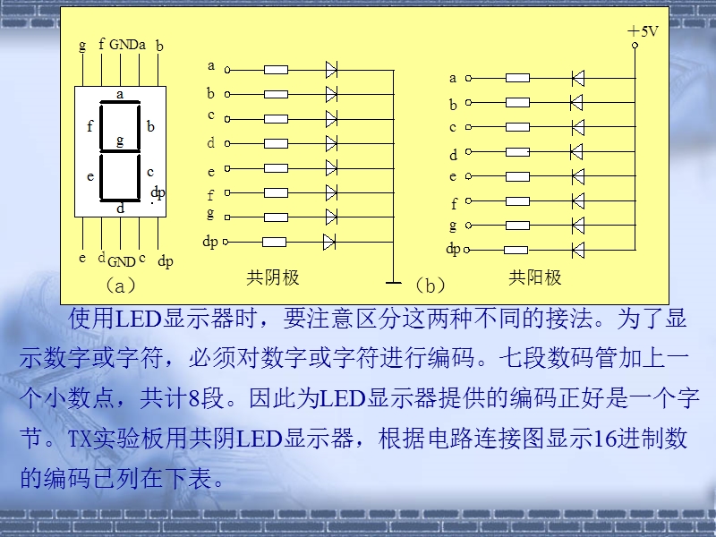 51单片机学习----lesson2_流水灯lesson3_数码管静态显示及定时器和中断应用.ppt_第3页