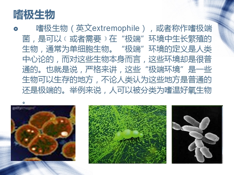 微生物无处不在.ppt_第3页