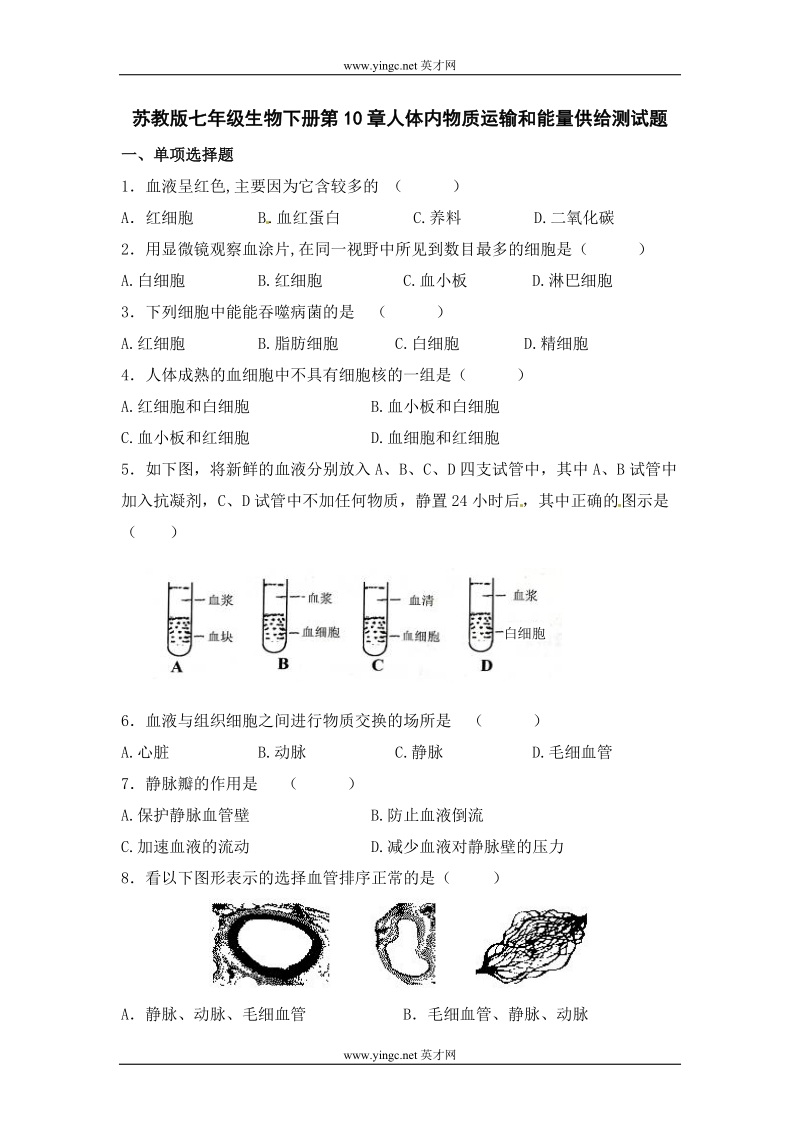 第10章 人体内物质运输和能量供给.doc_第1页