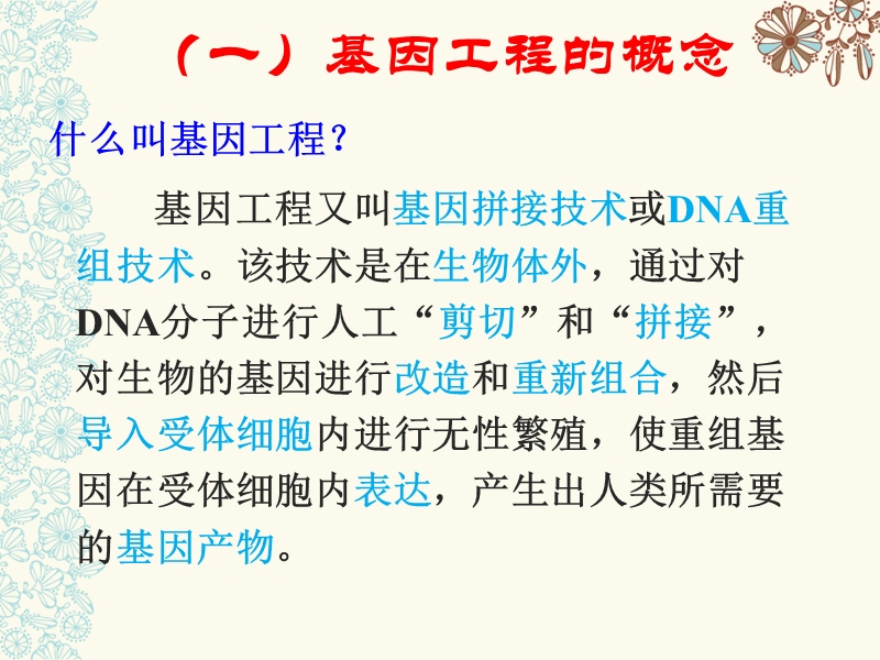 1.1 dna重组技术的基本工具 课件(共28张ppt).ppt_第3页