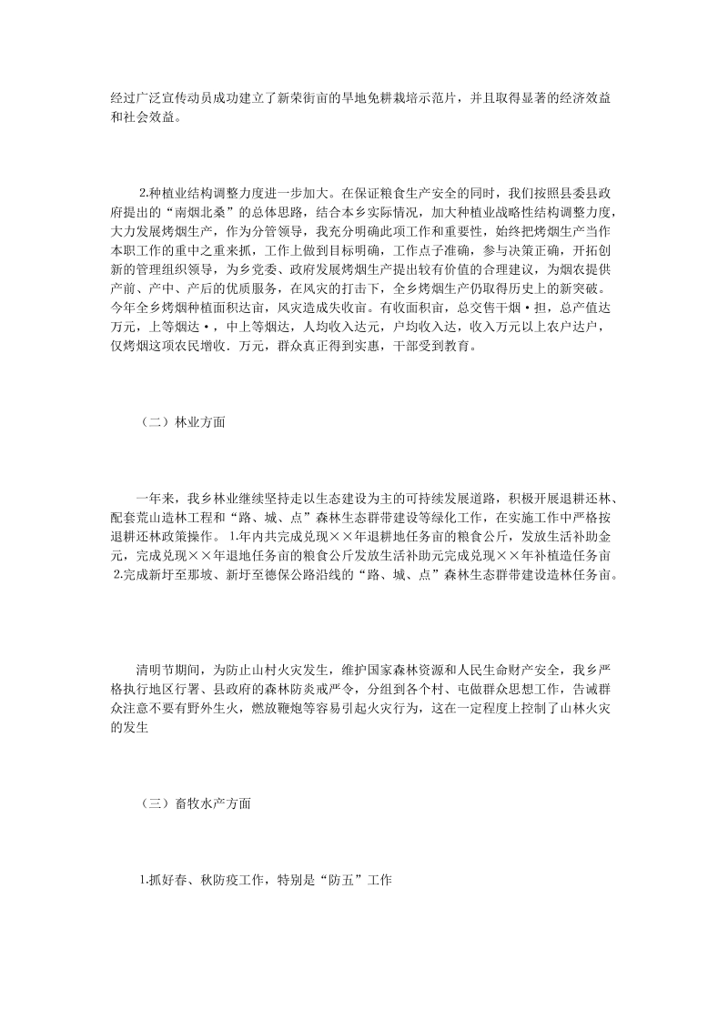 乡政府副职领导述职报告.doc_第2页