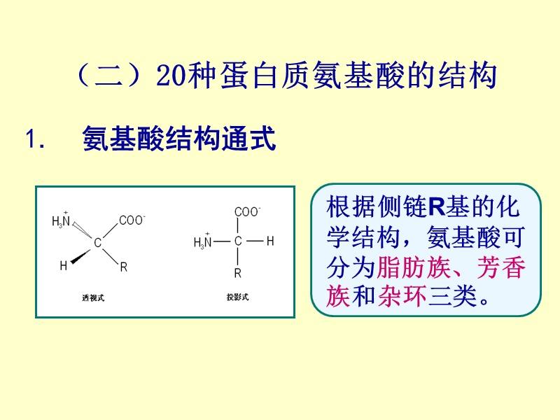 02生化-氨 基 酸.ppt_第3页