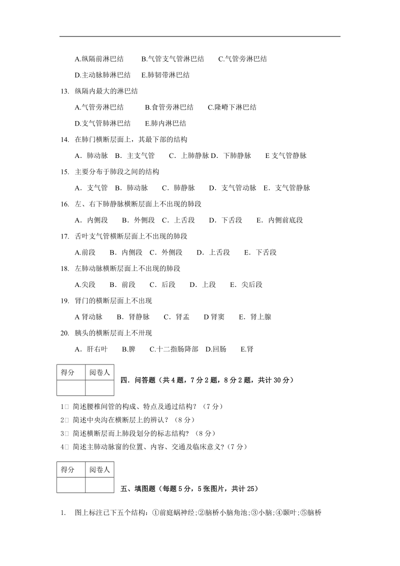 《 断层解剖学》试卷.doc_第3页