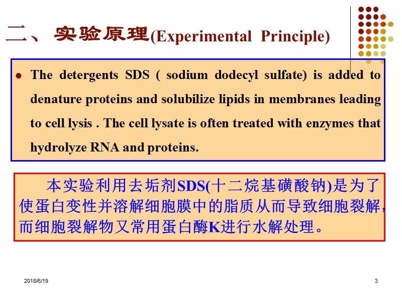 03哺乳动物组织基因组dna提取.ppt_第3页