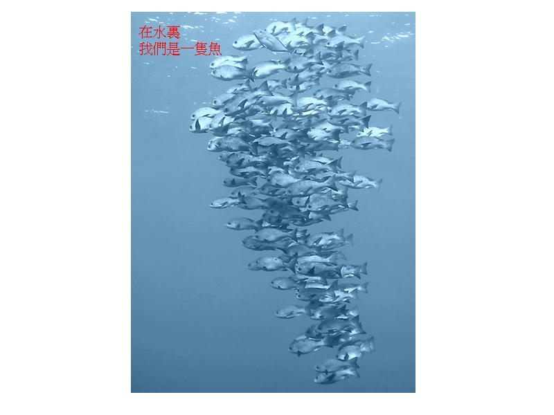 沉浸在意境中.pps_第3页