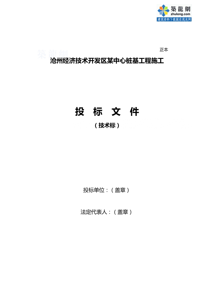 沧州某工程桩基(正循环潜水钻机自然造浆法)投标书技术标_secret.doc_第1页