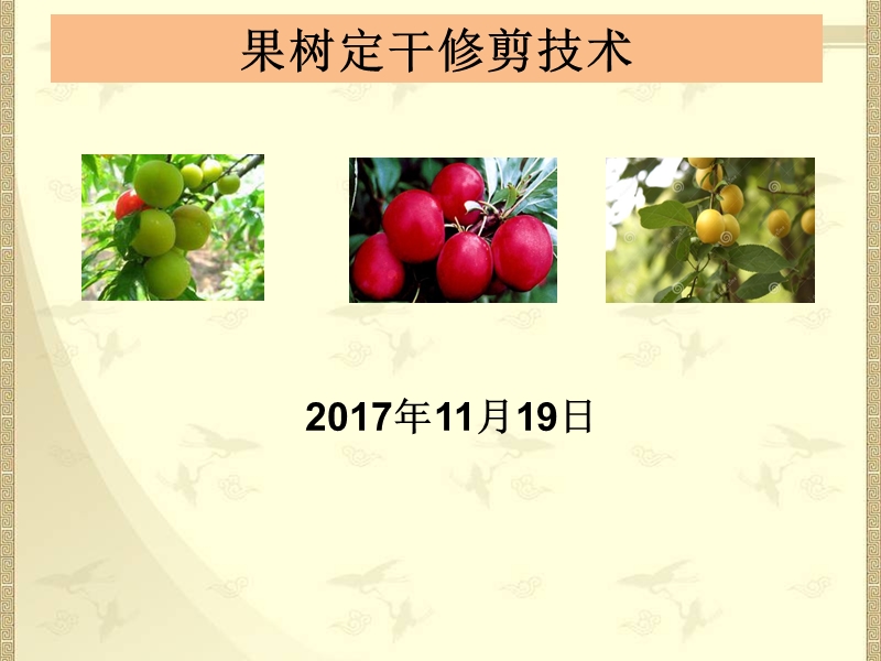 4果树定干修剪技术.pptx_第1页