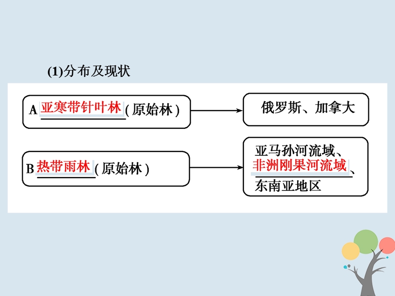 2018届高考地理总复习 第十三章 区域生态环境建设 3-13-2 森林的开发和保护——以亚马孙热带雨林为例课件 新人教版.ppt_第3页