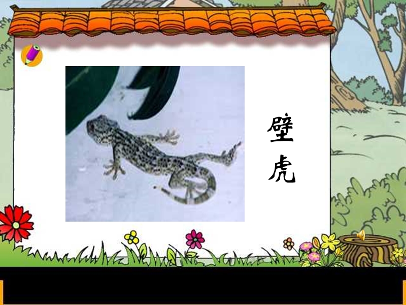 《小壁虎借尾巴》课件ppt.ppt_第2页