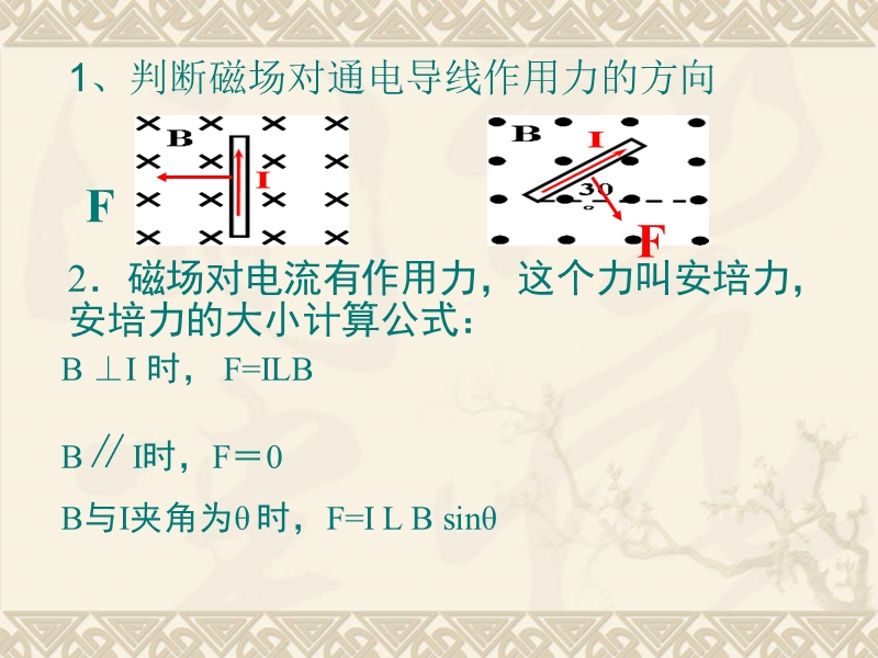 35磁场对运动电荷的作用力.ppt_第2页