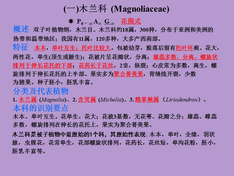 10木兰科magnoliaceae.ppt_第1页