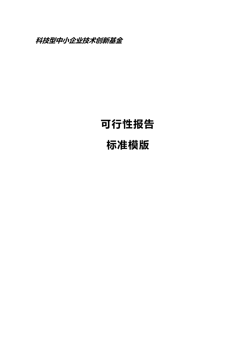 创新基金可行性报告模板.doc_第1页