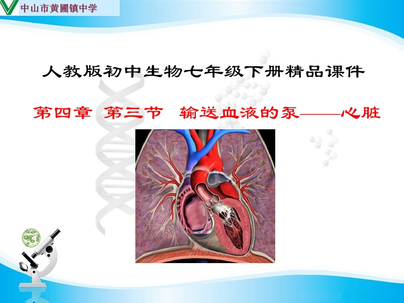 【科组备课】人教版七年级生物下册第四单元  第4章  第三节 输送血液的泵──心脏(24张ppt)(共24张ppt).ppt_第1页