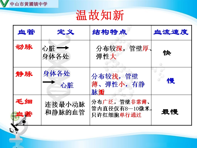 【科组备课】人教版七年级生物下册第四单元  第4章  第三节 输送血液的泵──心脏(24张ppt)(共24张ppt).ppt_第2页