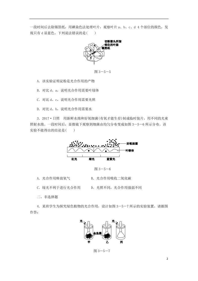 2018年七年级生物上册 第三单元 第五章 第一节 光合作用吸收二氧化碳释放氧气 第1课时 光合作用吸收二氧化碳释放氧气练习 （新版）新人教版.doc_第2页