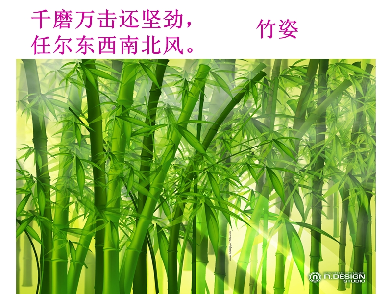 《白杨礼赞》优秀ppt课件.ppt_第2页