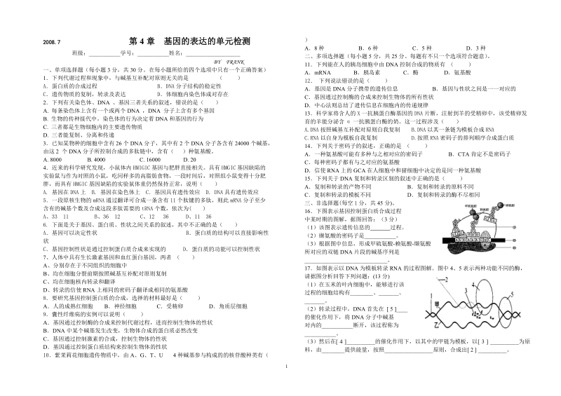 (学生用)第4章  基因的表达的单元检测.doc.doc_第1页