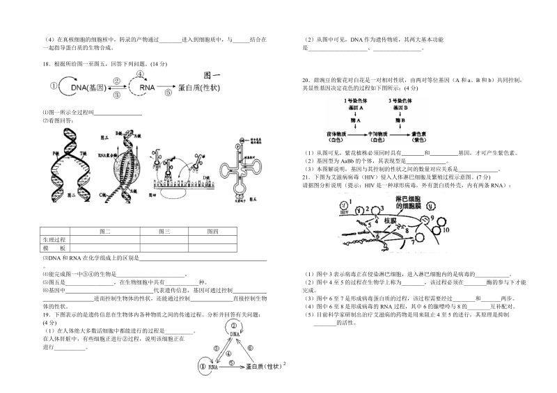 (学生用)第4章  基因的表达的单元检测.doc.doc_第2页