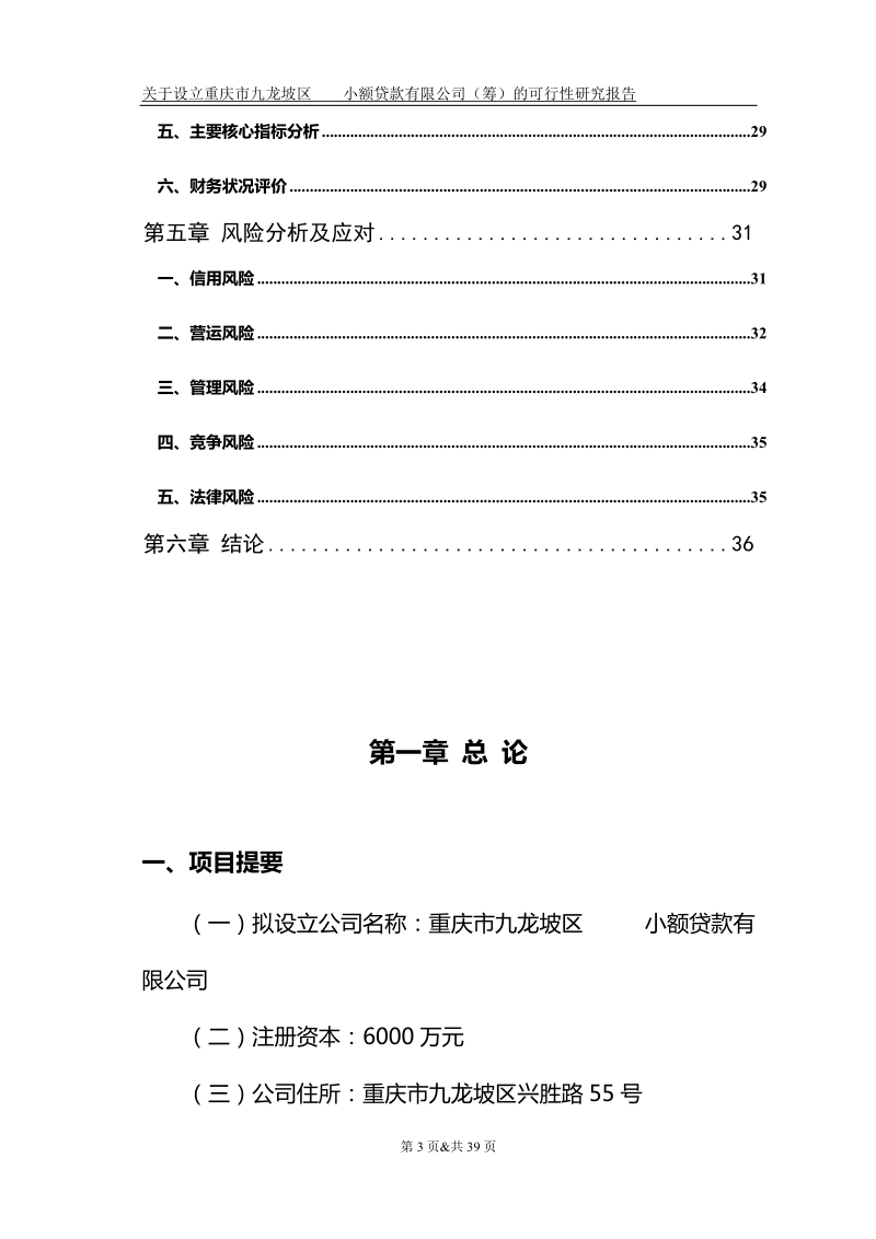 成立重庆小额贷款公司可行性报告.doc_第3页