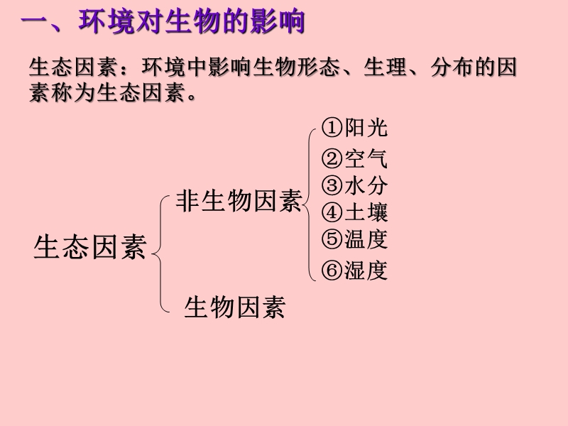 1.2生物与环境的相互影响.ppt_第2页