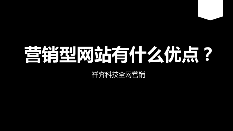 营销型网站有什么优点？.pptx_第1页