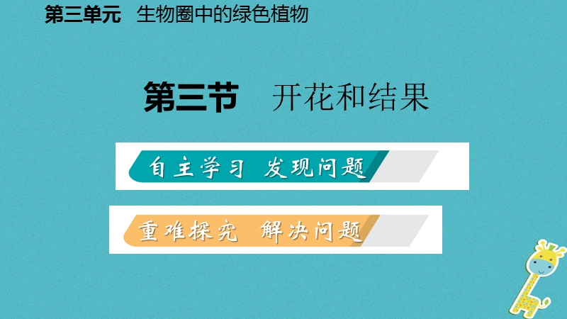 2018年七年级生物上册 第三单元 第二章 第三节 开花和结果课件 （新版）新人教版.ppt_第2页