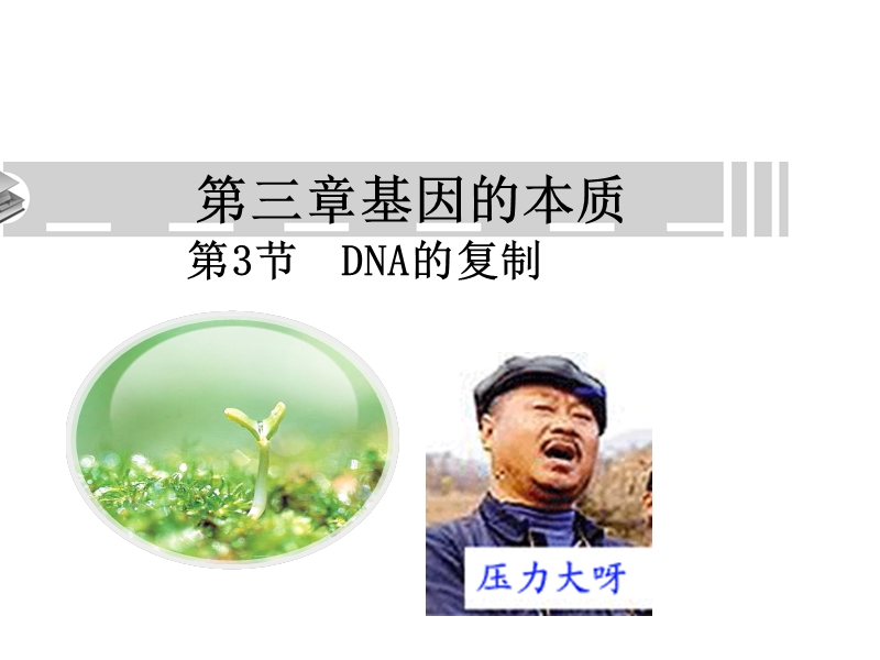 第三章基因的本质 dna的复制.ppt_第1页