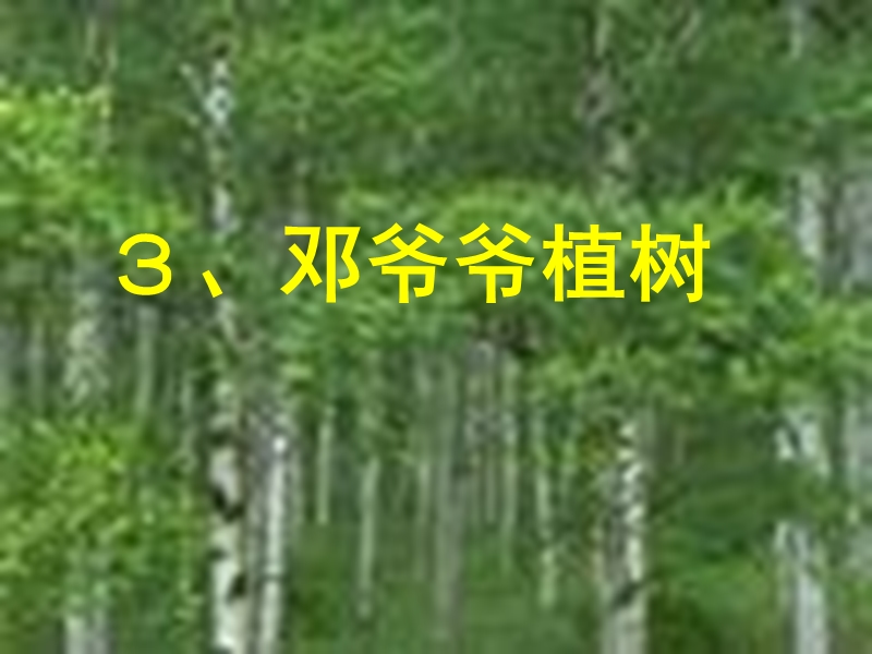 3 邓爷爷植树方案.ppt_第3页