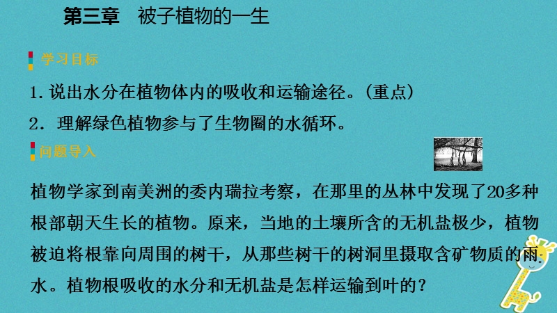 2018年七年级生物上册 第三单元 第三章 绿色植物与生物圈的水循环 第2课时 植物体对水分的吸收、运输和散失课件 （新版）新人教版.ppt_第3页