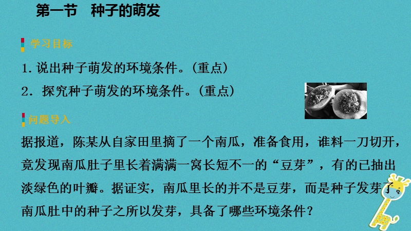 2018年七年级生物上册 第三单元 第二章 第一节 种子的萌发 第1课时 种子萌发的环境条件课件 （新版）新人教版.ppt_第3页