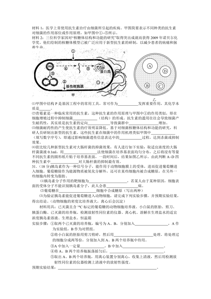 北京四中2011届理科综合能力测试题生物试卷1.doc.doc_第3页