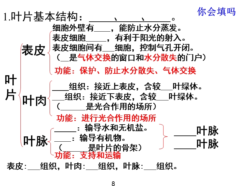 5.2呼吸作用.ppt_第3页