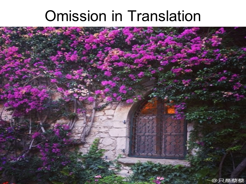 3 omission in translation.ppt_第1页