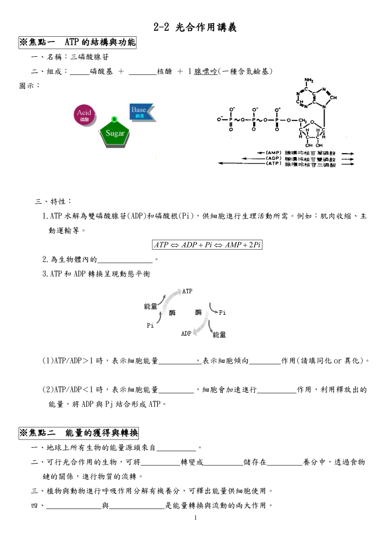 2-2光合作用讲义.doc_第1页