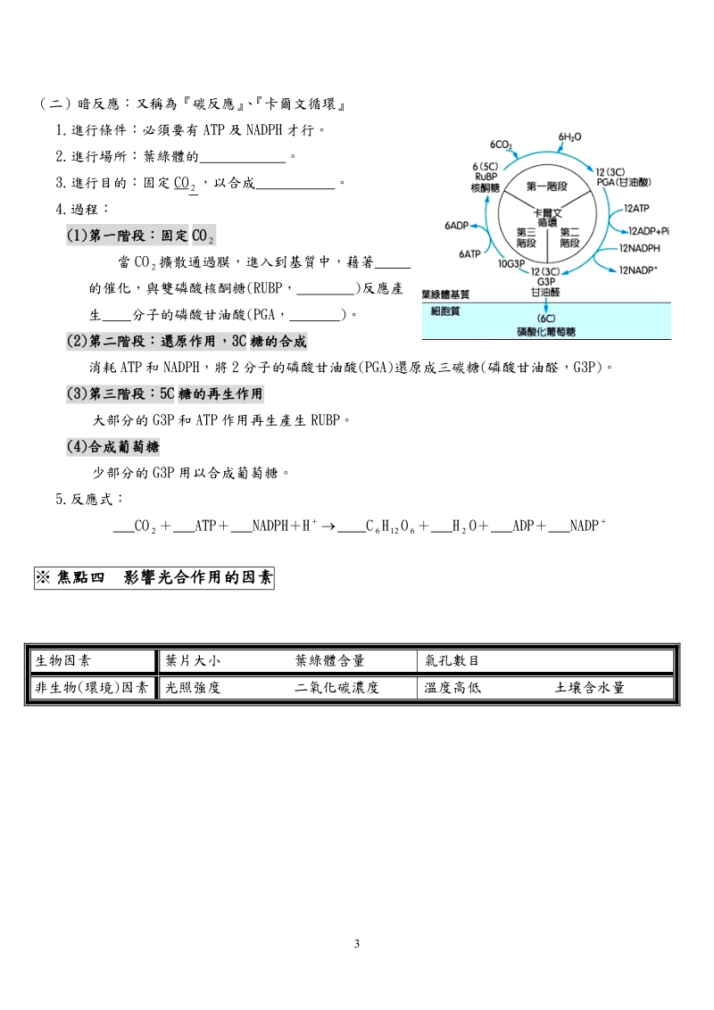 2-2光合作用讲义.doc_第3页