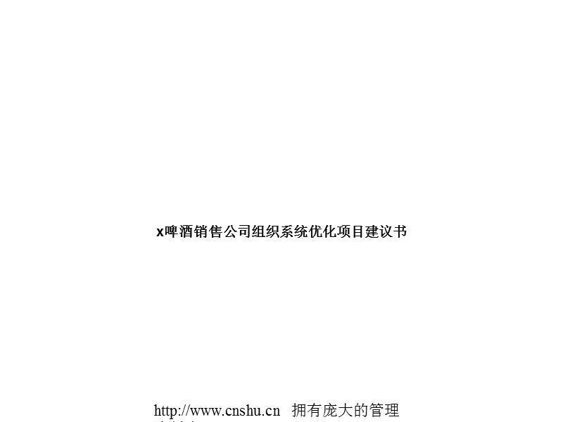 啤酒销售公司组织系统优化项目建议书.ppt_第1页