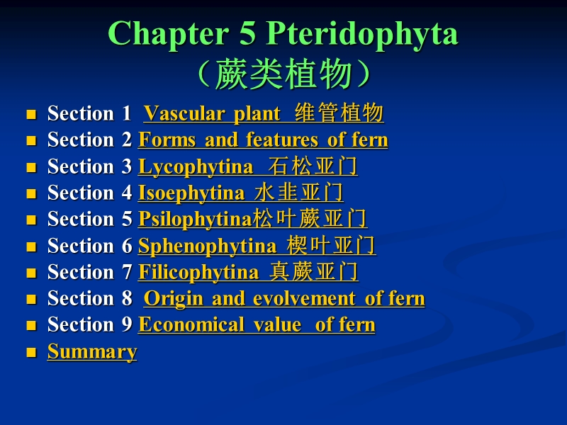 chapter 5  蕨类植物.ppt_第1页