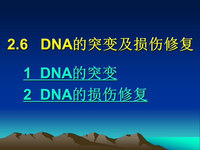 2.4 dna的突变及损伤修复.ppt_第1页