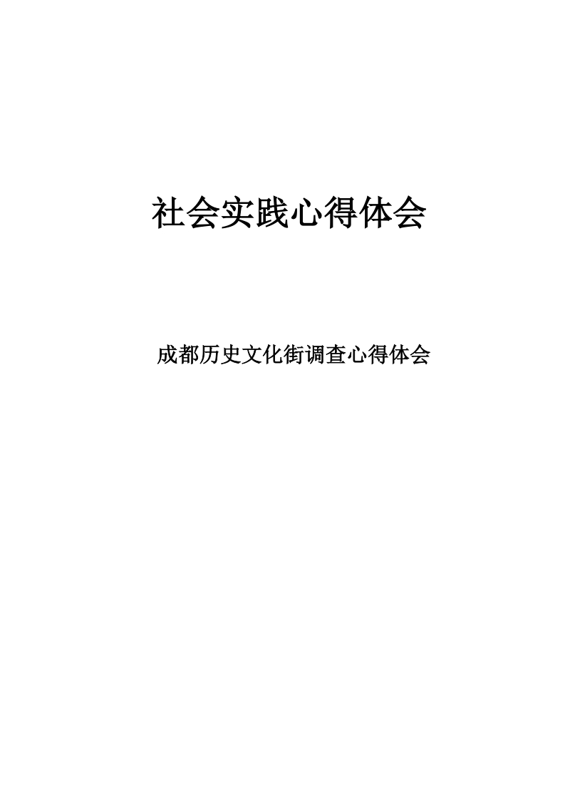 成都文化街调查心得体会.doc_第1页