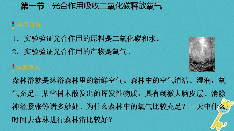 2018年七年级生物上册 第三单元 第五章 第一节 光合作用吸收二氧化碳释放氧气 第1课时 光合作用吸收二氧化碳释放氧气课件 （新版）新人教版.ppt_第3页