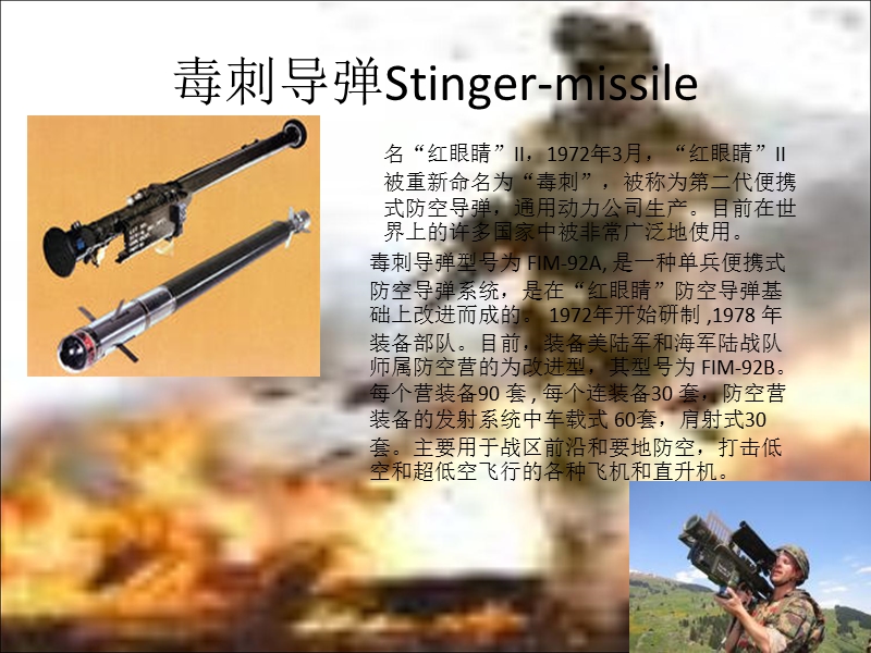 世界经典武器.ppt_第2页