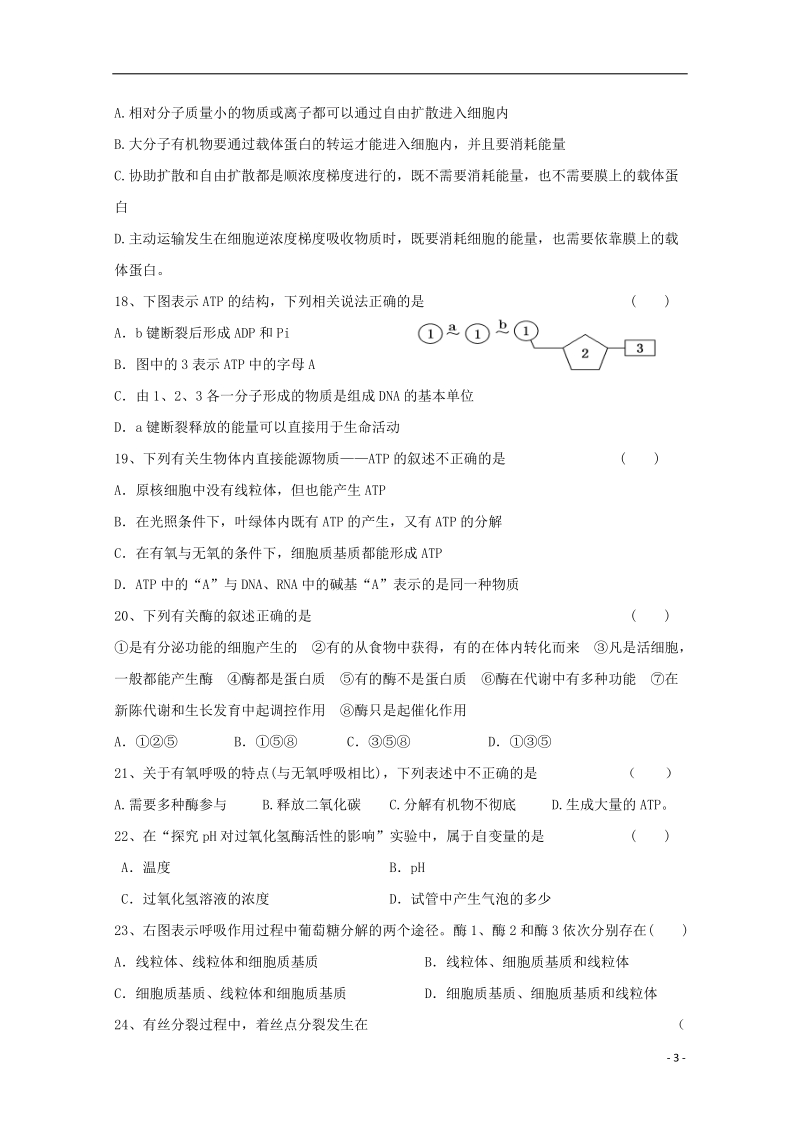 甘肃省民乐县第一中学2017_2018学年高二生物上学期期中试题.doc_第3页