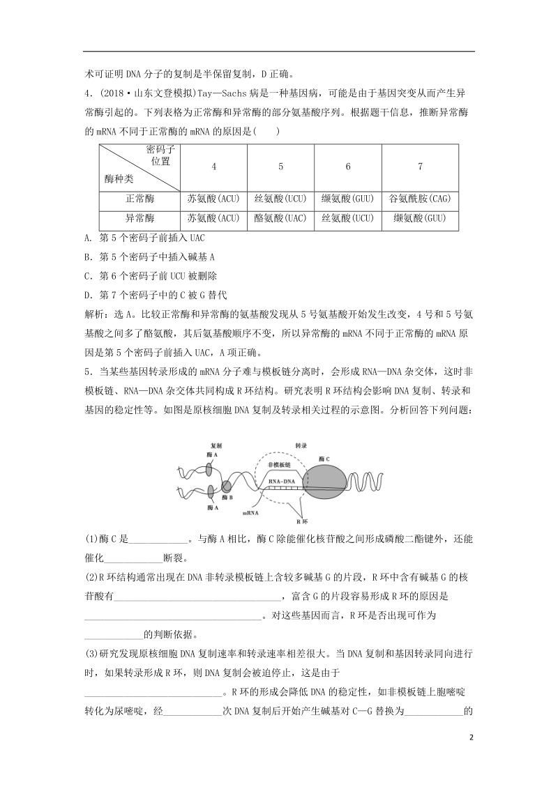 2019届高考生物总复习 第五单元 遗传的物质基础 第17讲 基因的表达提考能强化通关 新人教版.doc_第2页