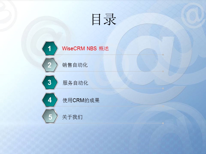 WiseCRM NBS 解决方案.pps_第2页