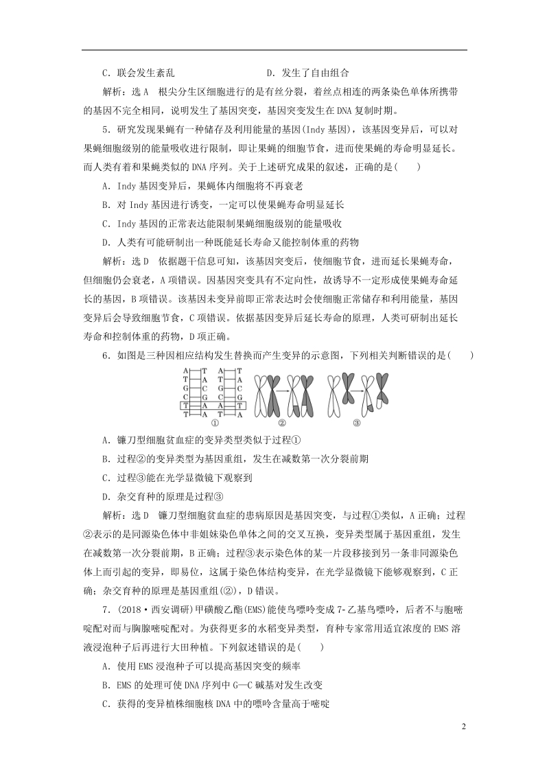 （全国通用版）2019版高考生物一轮复习 第2部分 遗传与进化 第二单元 基因的本质与表达 课时检测（二十四）基因突变和基因重组.doc_第2页